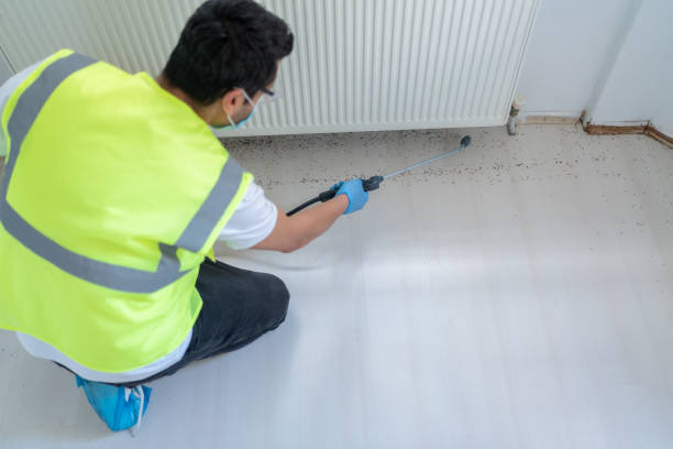 Best Fumigation Services  in Warren, OH